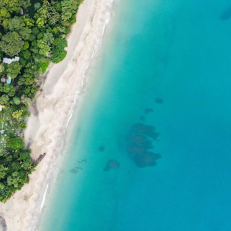 Le Cameleon Boutique Hotel Puerto Viejo de Talamanca المظهر الخارجي الصورة