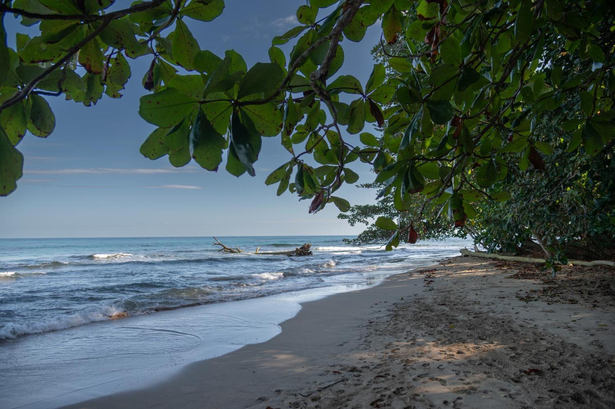 Le Cameleon Boutique Hotel Puerto Viejo de Talamanca المظهر الخارجي الصورة