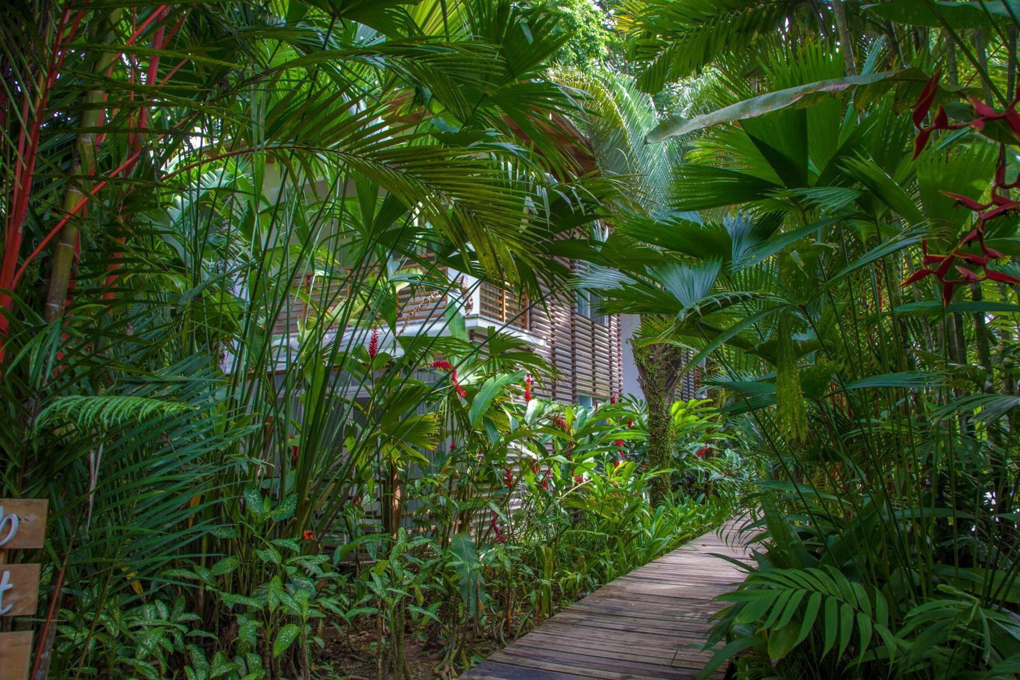 Le Cameleon Boutique Hotel Puerto Viejo de Talamanca المظهر الخارجي الصورة