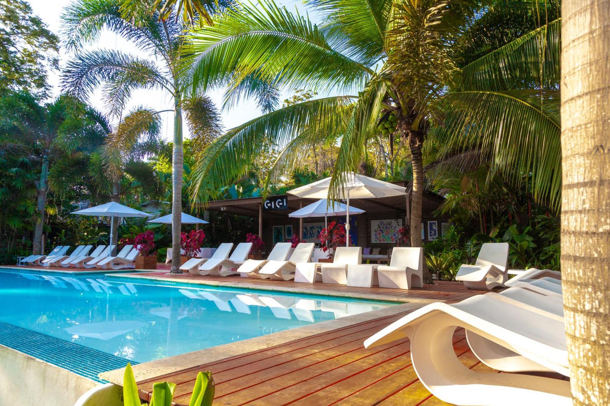 Le Cameleon Boutique Hotel Puerto Viejo de Talamanca المظهر الخارجي الصورة