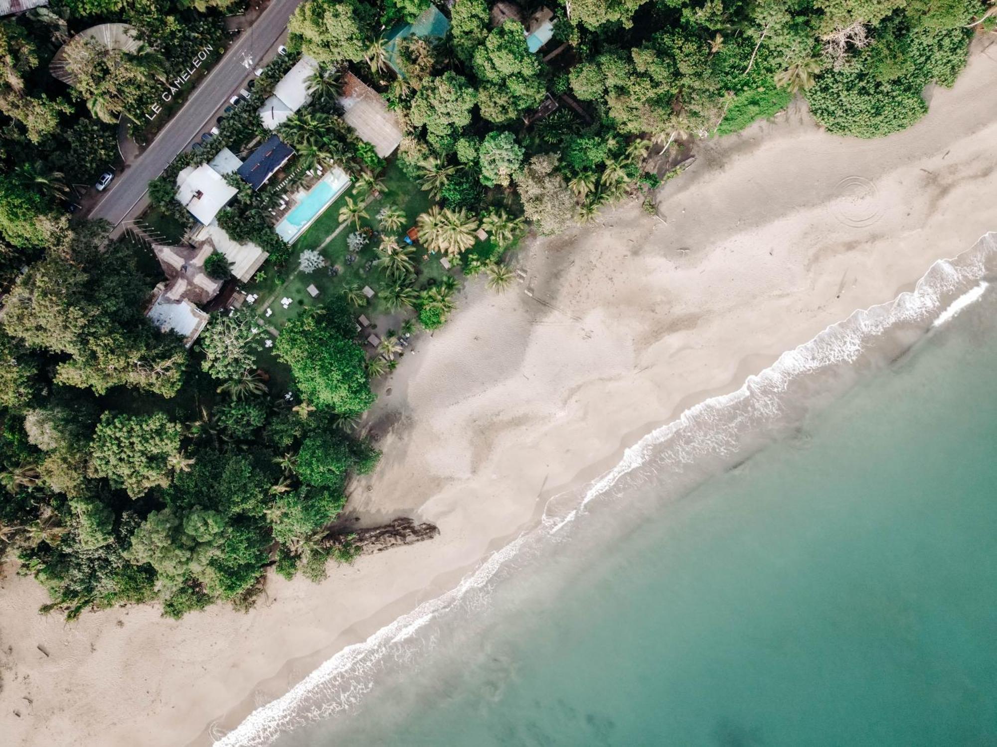 Le Cameleon Boutique Hotel Puerto Viejo de Talamanca المظهر الخارجي الصورة