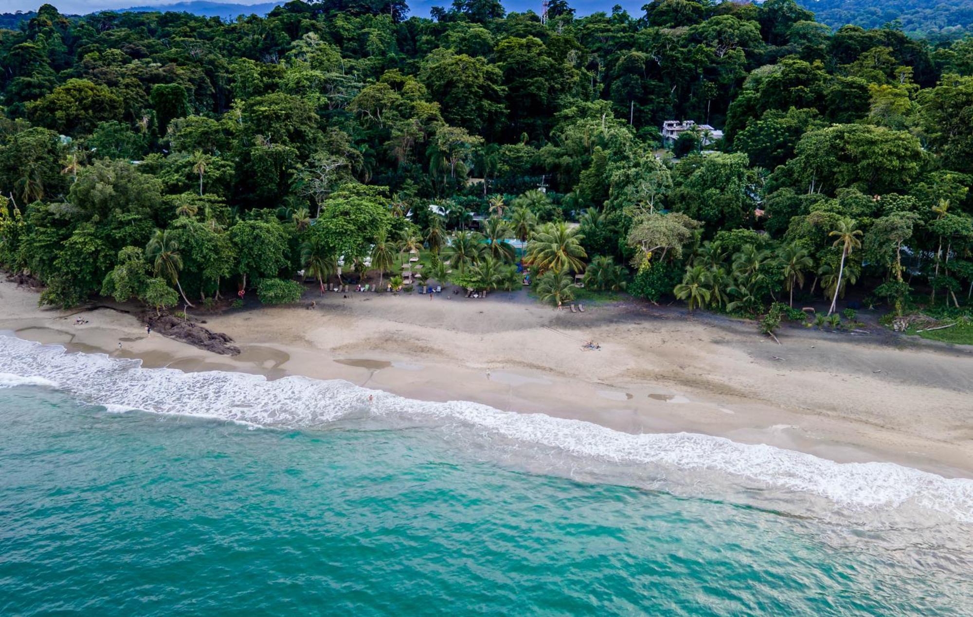 Le Cameleon Boutique Hotel Puerto Viejo de Talamanca المظهر الخارجي الصورة