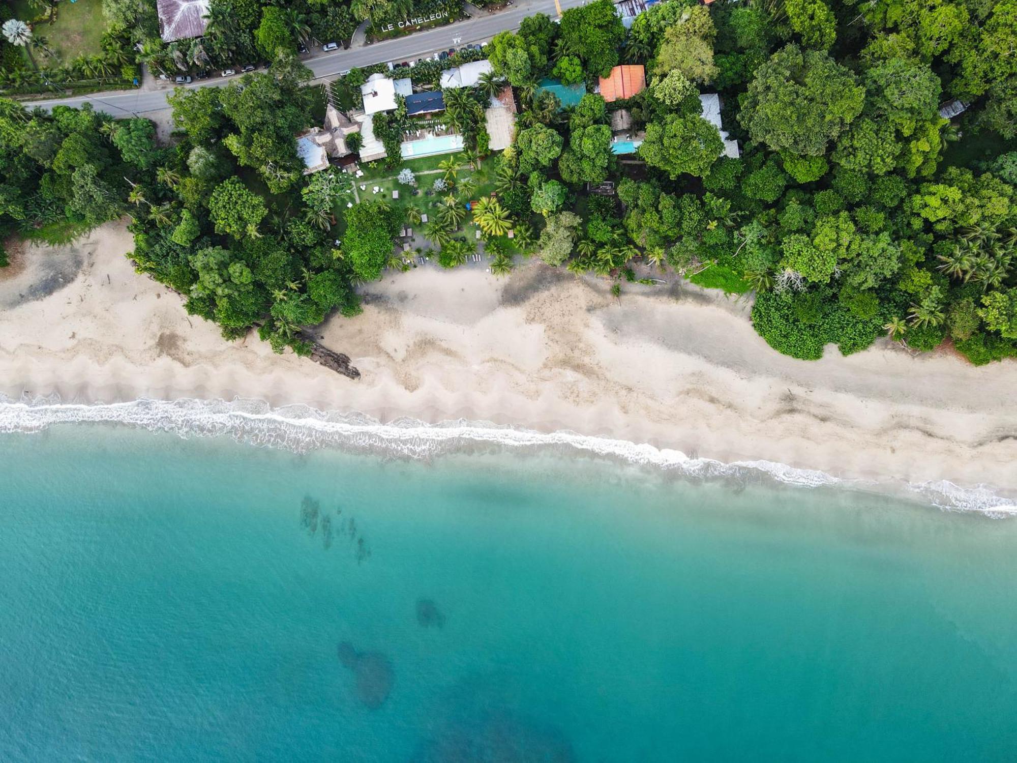 Le Cameleon Boutique Hotel Puerto Viejo de Talamanca المظهر الخارجي الصورة